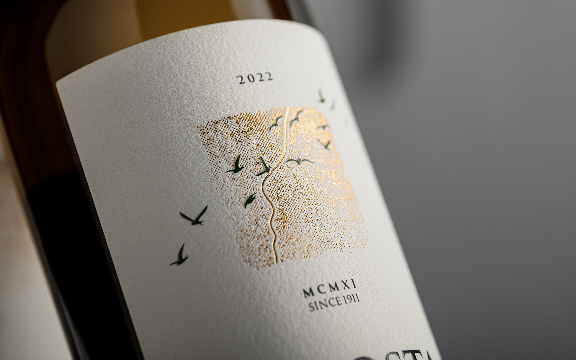 Where Origin Becomes Identity