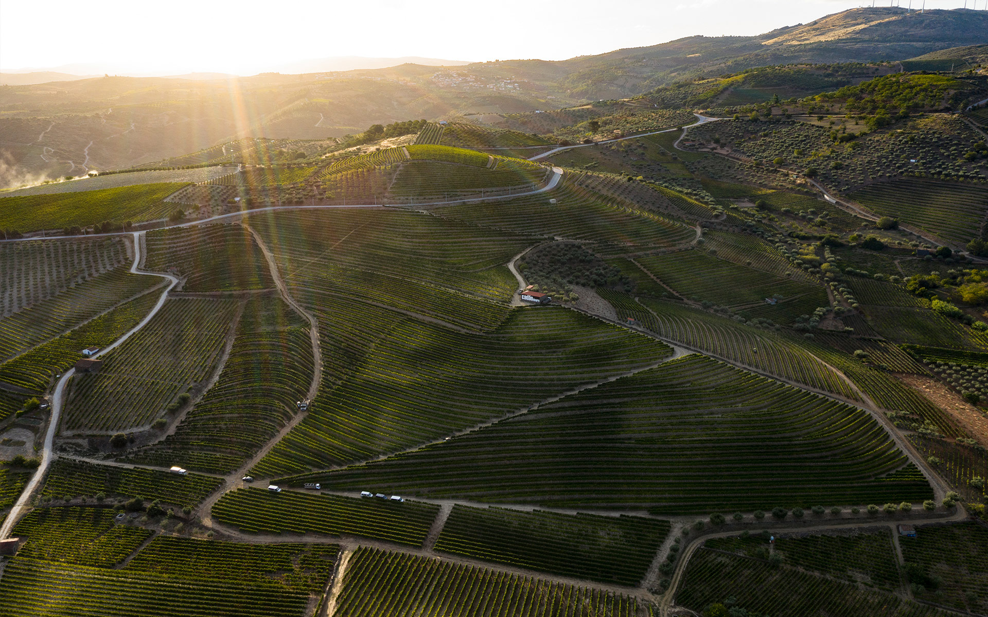 Where altitude becomes meaning