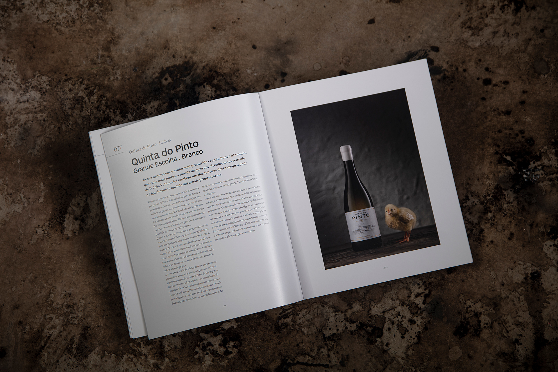 100 Grandes Vinhos de Portugal