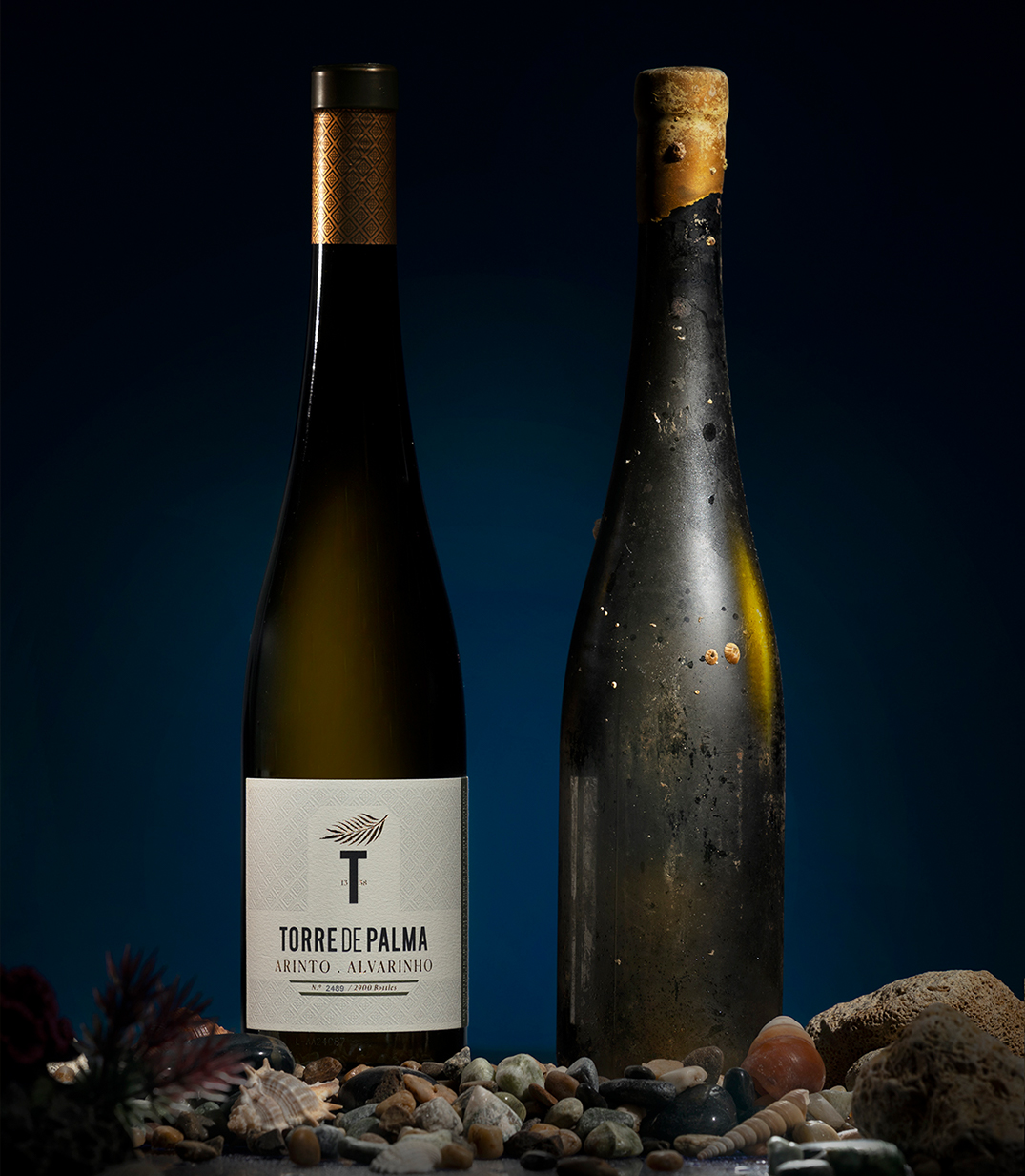 A Dual-Aged Expression of Torre de Palma