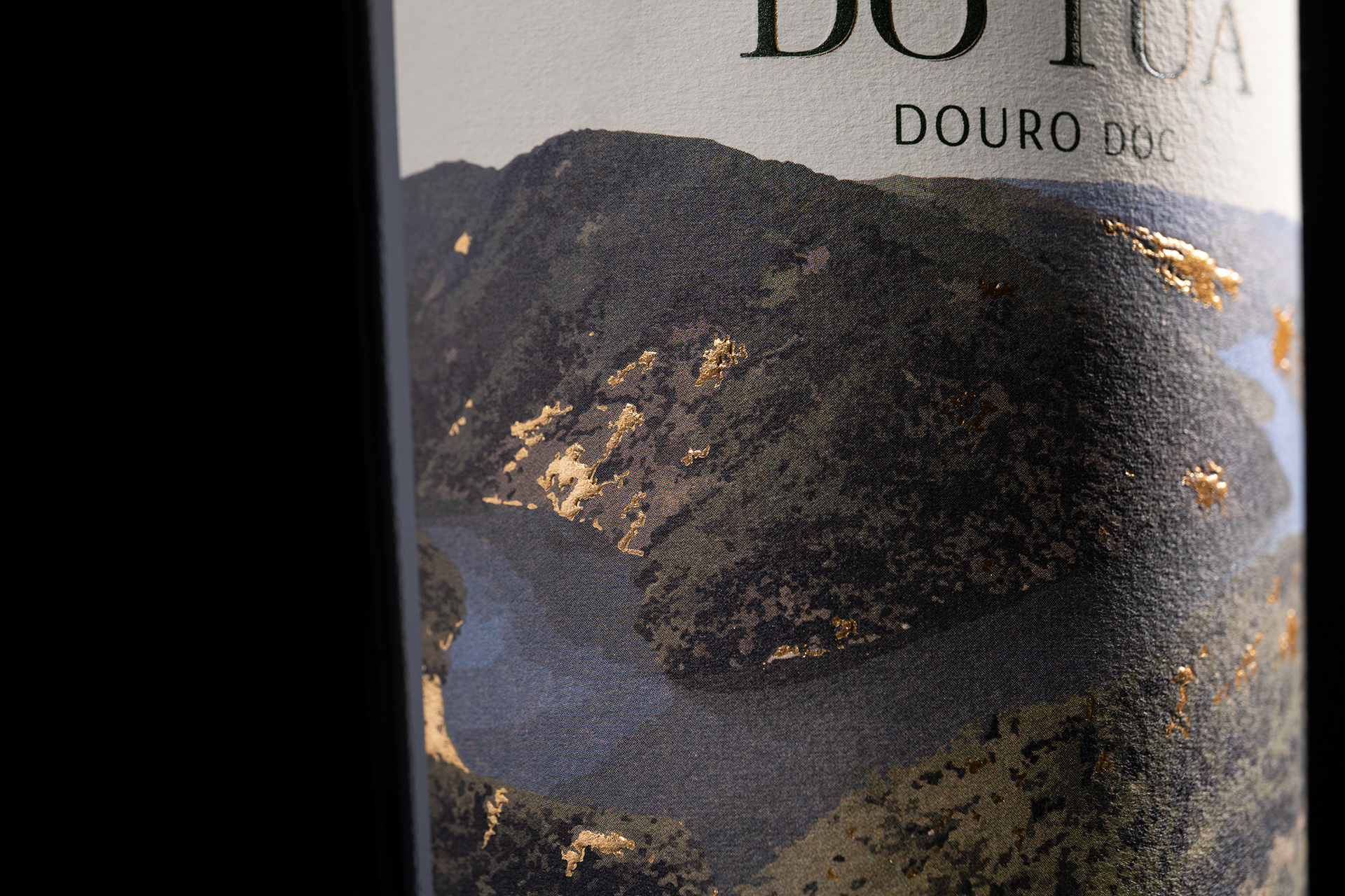 The Elegance of the Douro Landscape