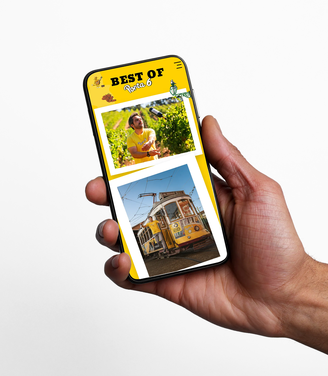 Web Site Porta 6